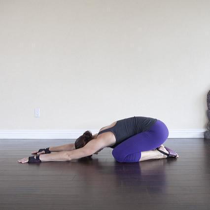 YogaPaws Blog for Beginner Poses and Postures